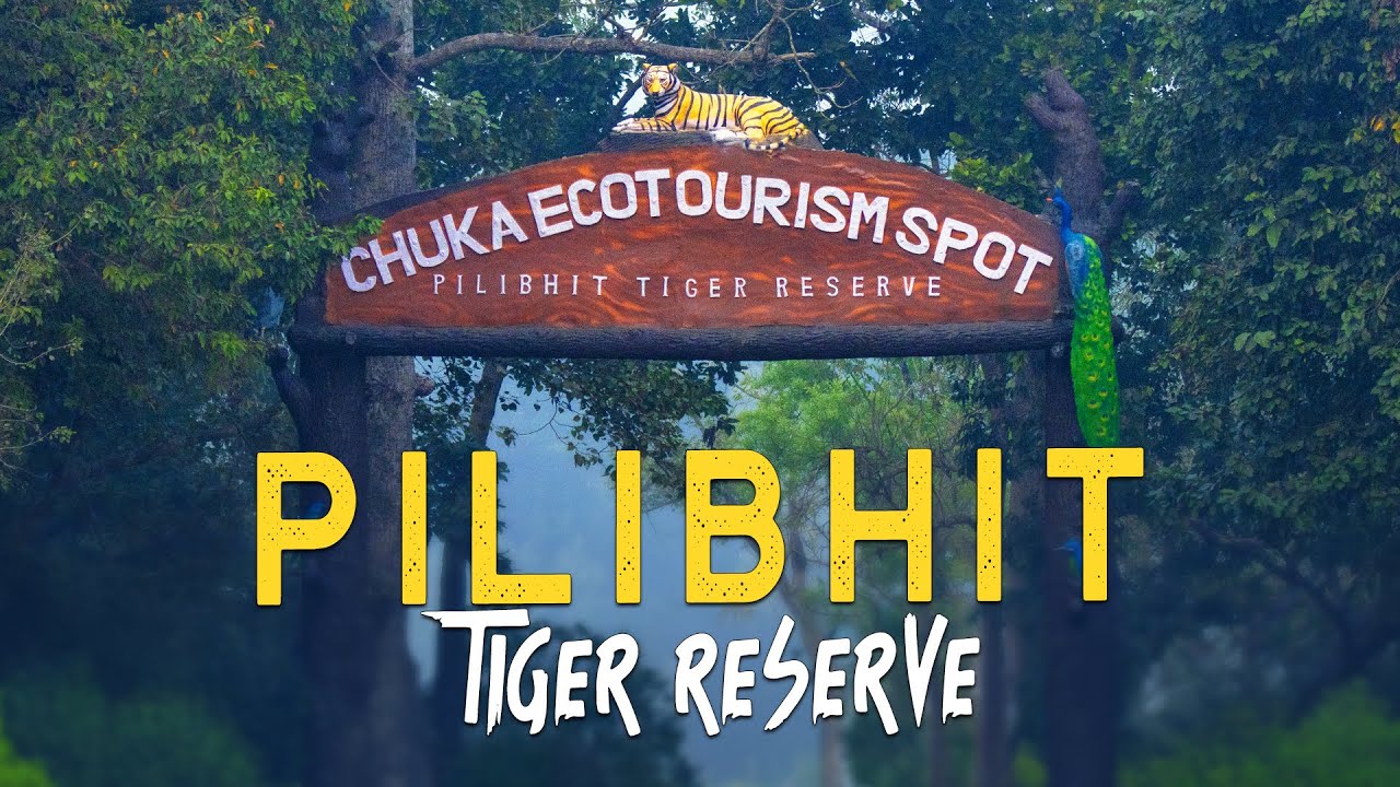 Super mansoori travels pilibhit